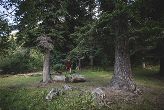 Man standing on log between pine trees