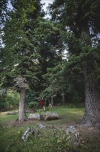 Man standing on log between pine trees