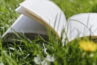Close-up of open book on grass