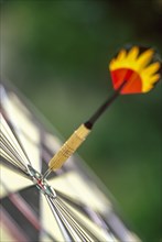 Dart arrow in target center of dartboard