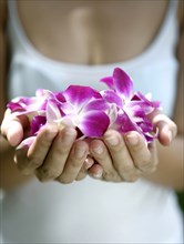 Close-up of woman's hands holding purple orchids