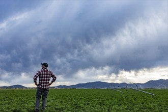 Rear view of farmer standing in field under storm clouds