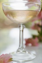 Sparkling rose wine in glass