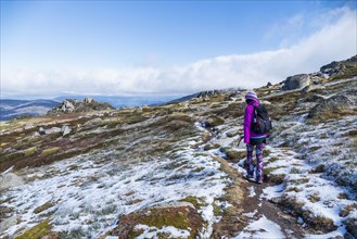Australia, New South Wales, Woman hiking in snowy mountains in Kosciuszko National Park