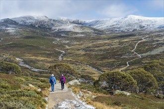 Australia, New South Wales, Two people hiking on trail at Charlotte Pass in Kosciuszko National Park