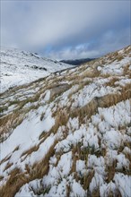 Australia, New South Wales, Mountain grass covered with snow at Charlotte Pass in Kosciuszko National Park