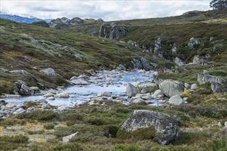 Australia, New South Wales, Mountain lake with rocks at Charlotte Pass in Kosciuszko National Park