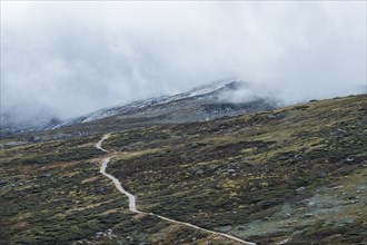 Australia, New South Wales, Hiking trail in mountains at Charlotte Pass in Kosciuszko National Park