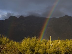 USA, Arizona, Tucson, Rainbow in landscape with mountains in background