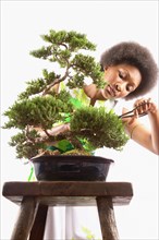 Woman trimming bonsai tree