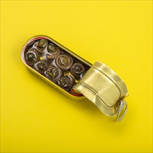 Opened can of sardines on yellow background