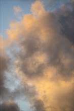 Golden Cumulus clouds on sky at sunset