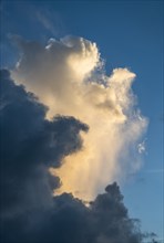 Dramatic cumulus cloud formations against blue sky