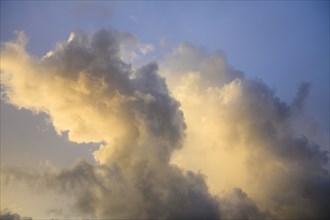 Cumulus clouds in morning light