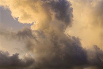 Gold and gray Cumulus clouds