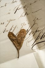 Dried heart shaped leaf on antique letter