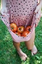 Girl carrying freshly picked tomatoes in dress