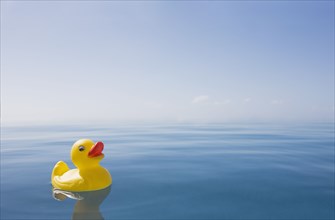 Rubber duck floating on calm water surface