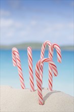 Christmas Candy Canes on tropical beach