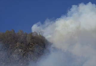 Smoke from forest fire