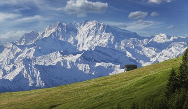 Hut in green pasture and snowy Alps