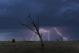 Thunderstorm over savannah