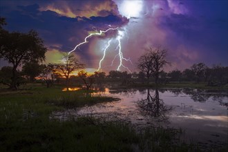Thunderstorm over swamp