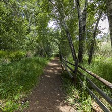 Footpath and wooden fence in rural area
