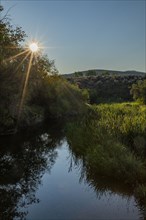 Morning sun over spring creek near Sun Valley