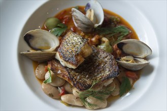 Plate of seared fish and clams