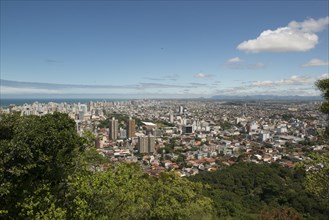 Trees overlooking Vitoria cityscape