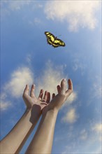 Caucasian woman reaching for butterfly in blue sky