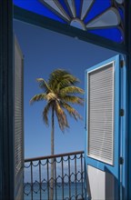 Balcony doors overlooking palm tree and ocean