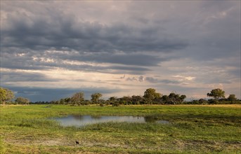 Clouds over field in rural landscape