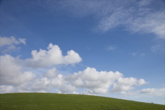 Rolling green hill under blue sky