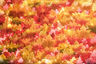 Close up of pile of autumn leaves