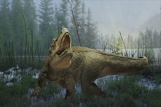 Tyrannosaurus rex dinosaur prowling in marsh