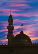 Silhouette of ornate spires and dome building