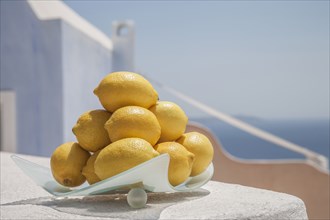 Close up of plate of lemons