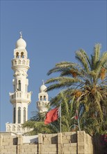 Towers and palm tree under blue sky