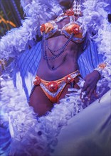 Performer wearing bikini and feather boa