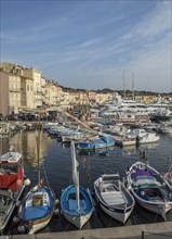 Boats docked in St Tropez marina