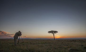 Caucasian photographer photographing tree in savanna