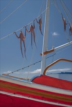 Low angle view of octopus hanging from boat rigging