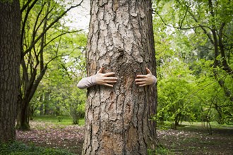 Caucasian woman hugging tree in park