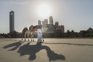 Middle Eastern man walking camels near city