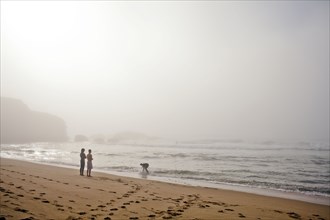 Couple playing with dog on beach