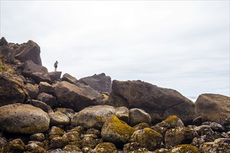 Person standing on mossy rocks on beach