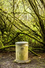 Garbage can in mossy forest