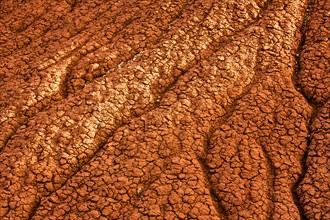 Close up of cracked desert earth on hillside